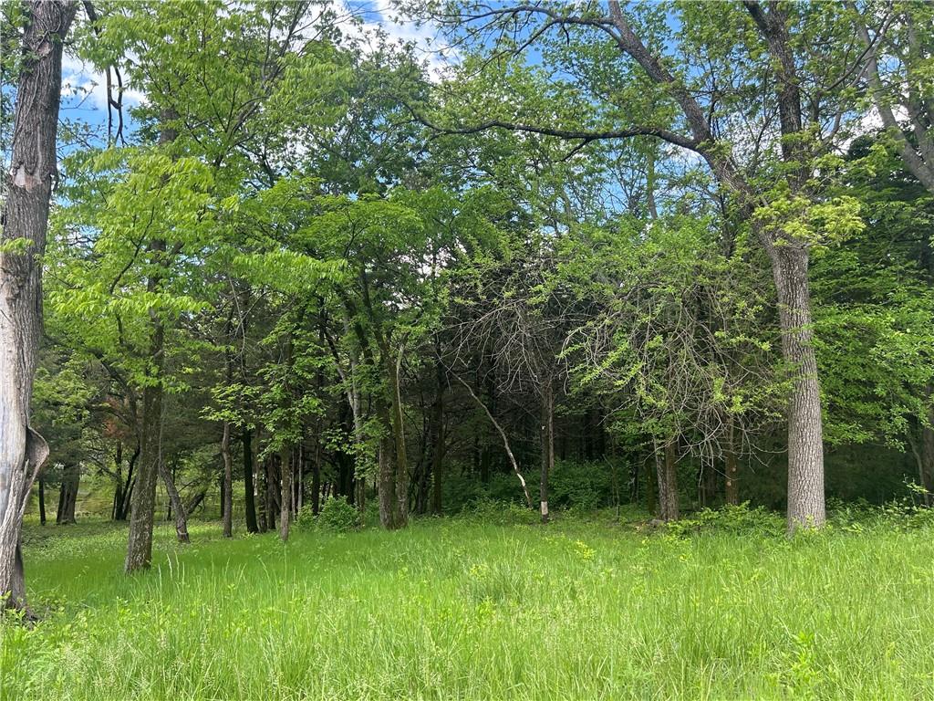 Listing Photo MLS #HMS2548411