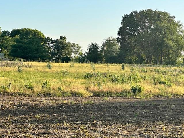 Listing Photo MLS #HMS2548447