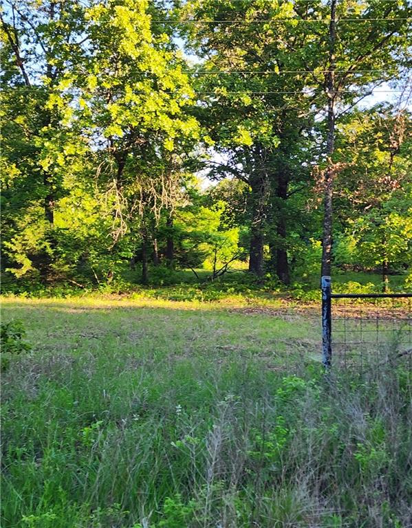 Listing Photo MLS #HMS2548650