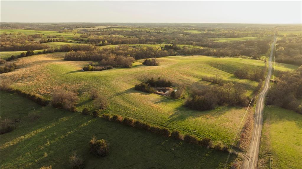 Listing Photo MLS #HMS2549005