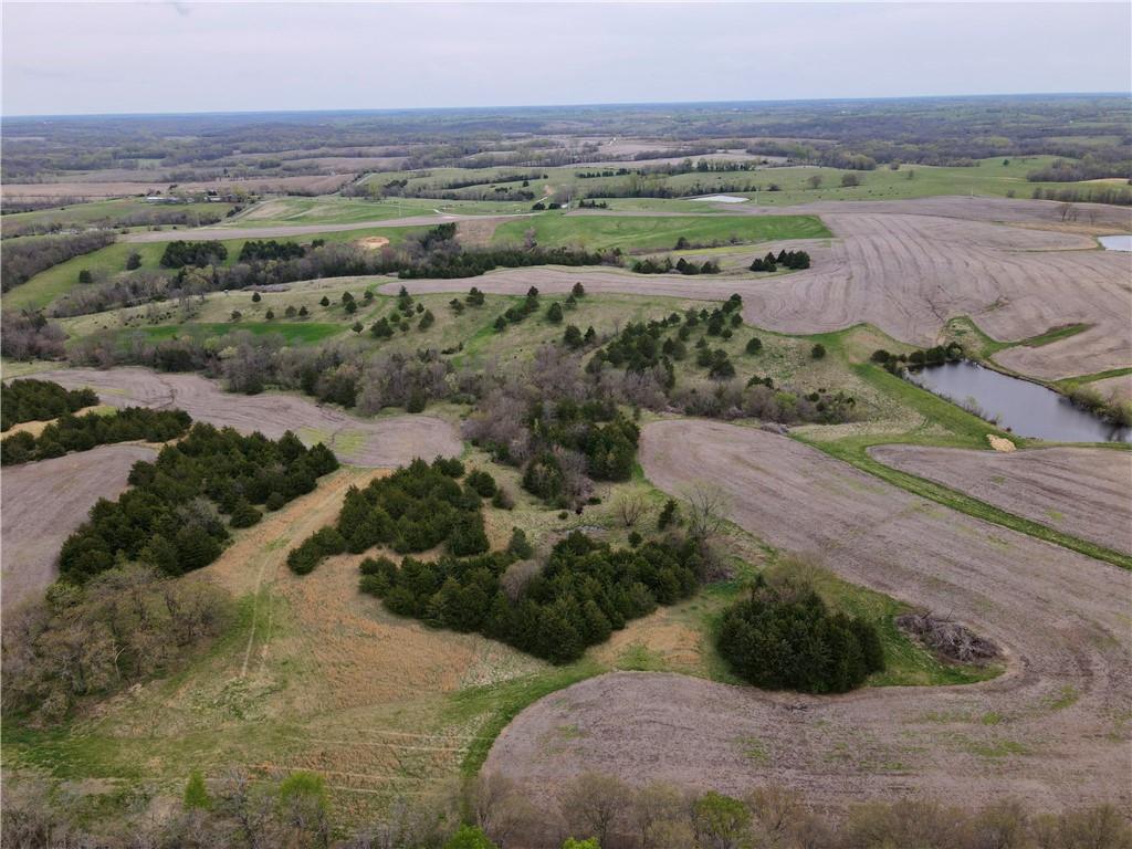 Listing Photo MLS #HMS2549103