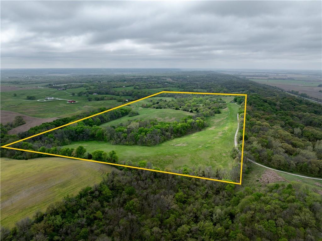 Listing Photo MLS #HMS2549115