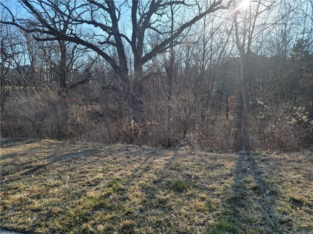 Listing Photo MLS #HMS2549142