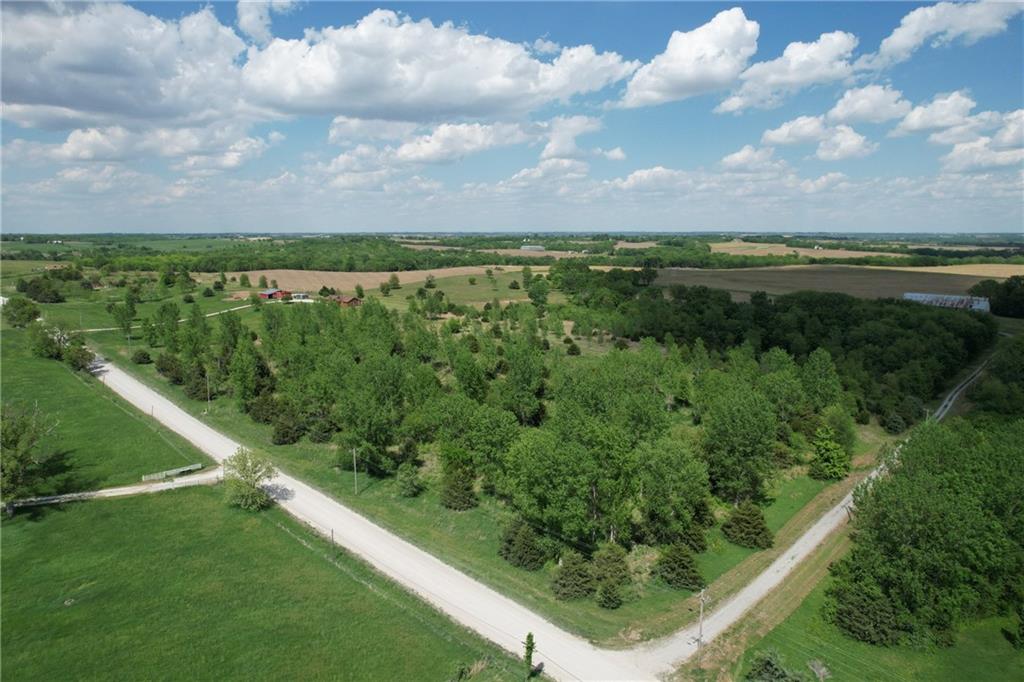 Listing Photo MLS #HMS2549182
