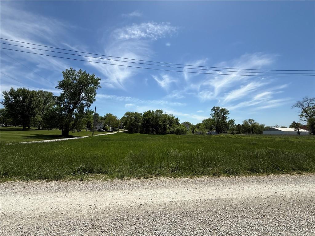 Listing Photo MLS #HMS2549222