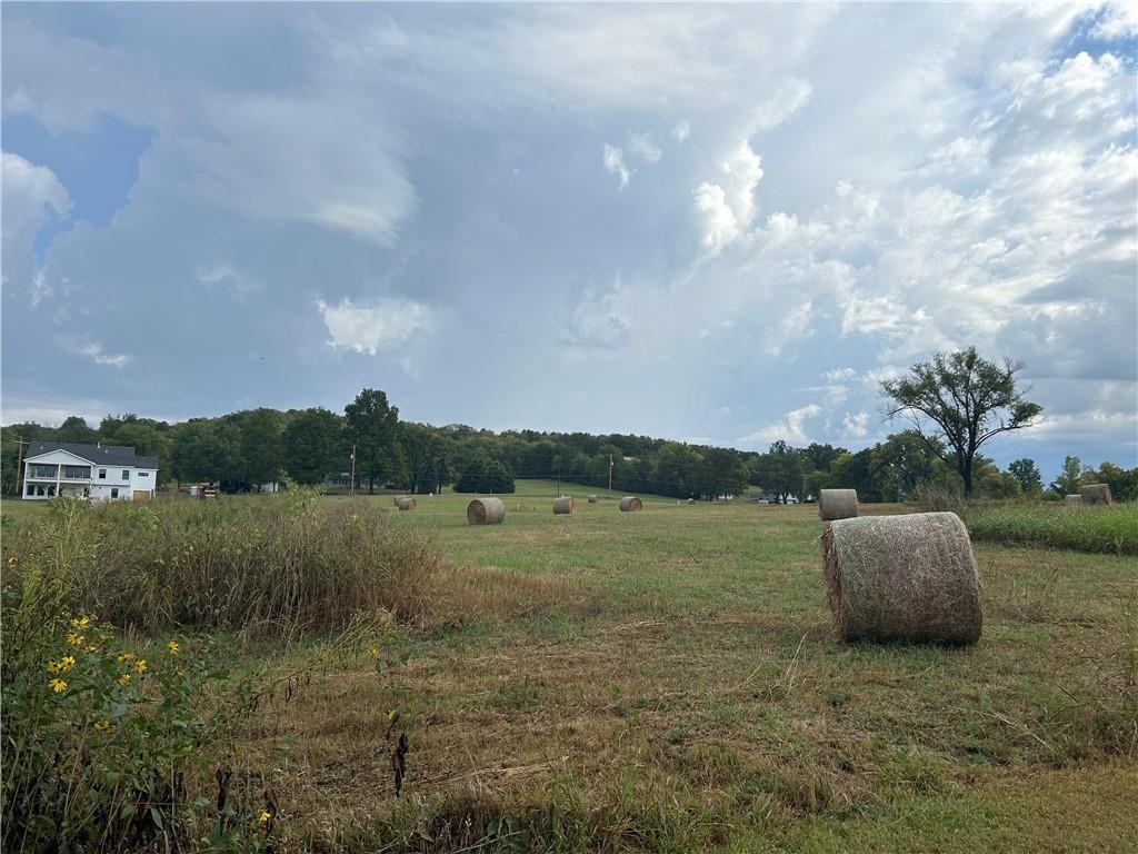 Listing Photo MLS #HMS2549250