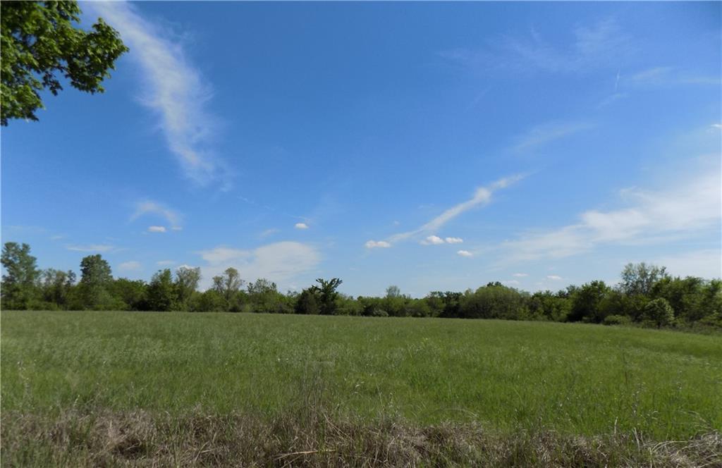Listing Photo MLS #HMS2549265