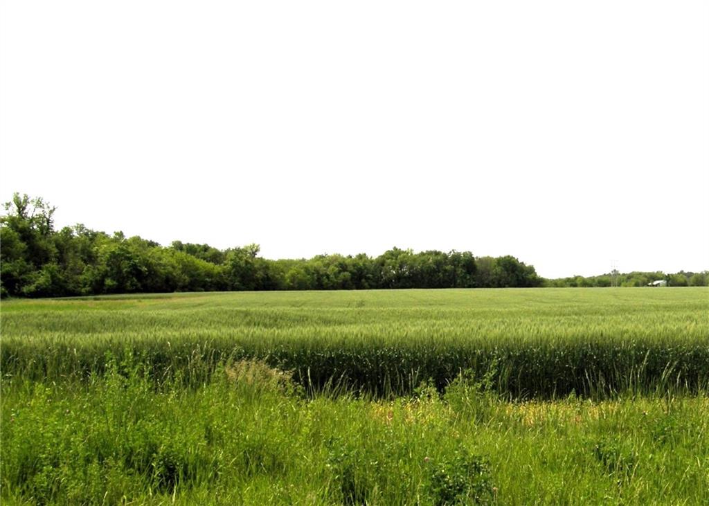 Listing Photo MLS #HMS2549287