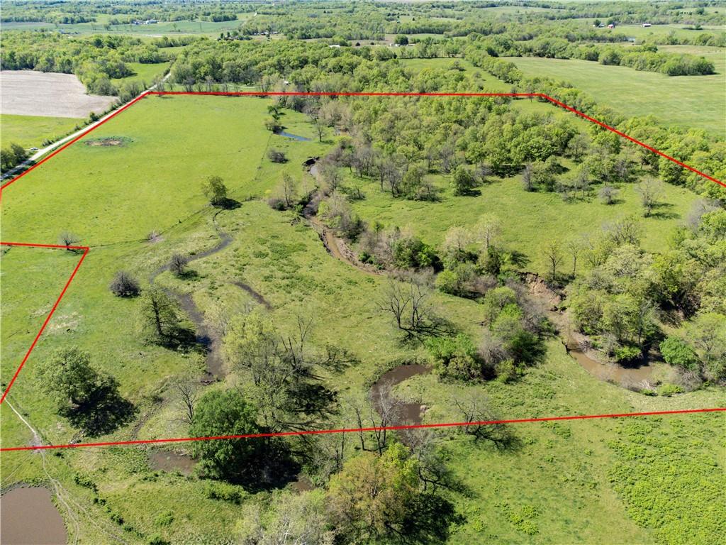 Listing Photo MLS #HMS2549324