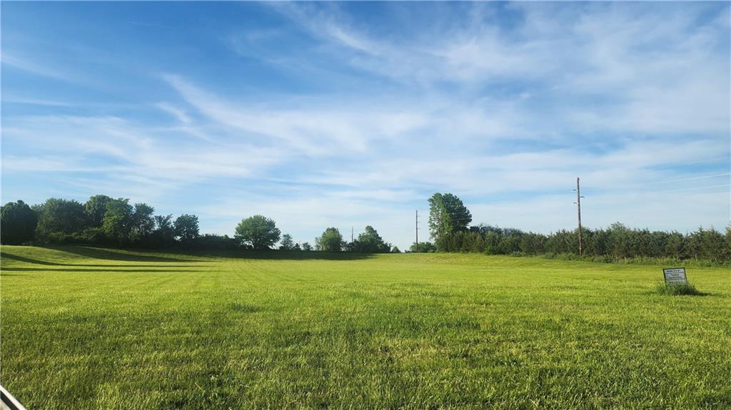 Listing Photo MLS #HMS2549445