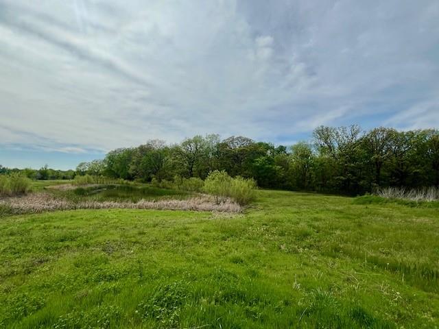 Listing Photo MLS #HMS2549610