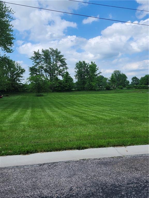 Listing Photo MLS #HMS2549670