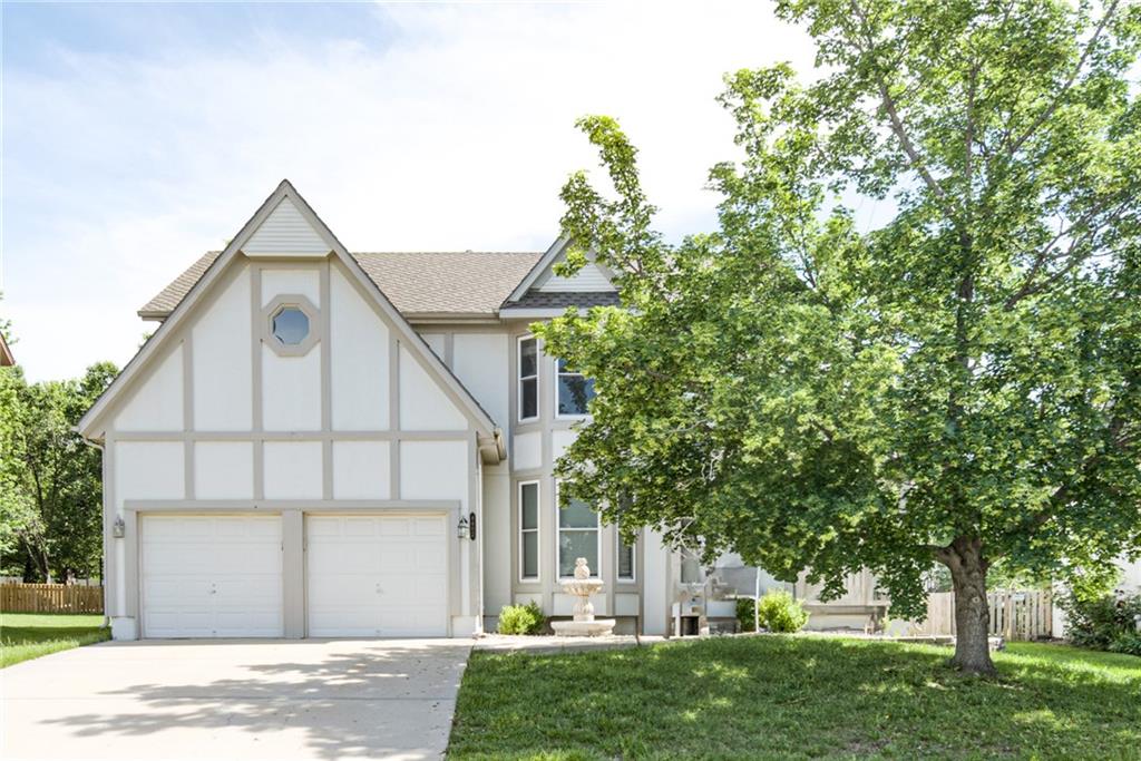 Listing Photo MLS #HMS2549743