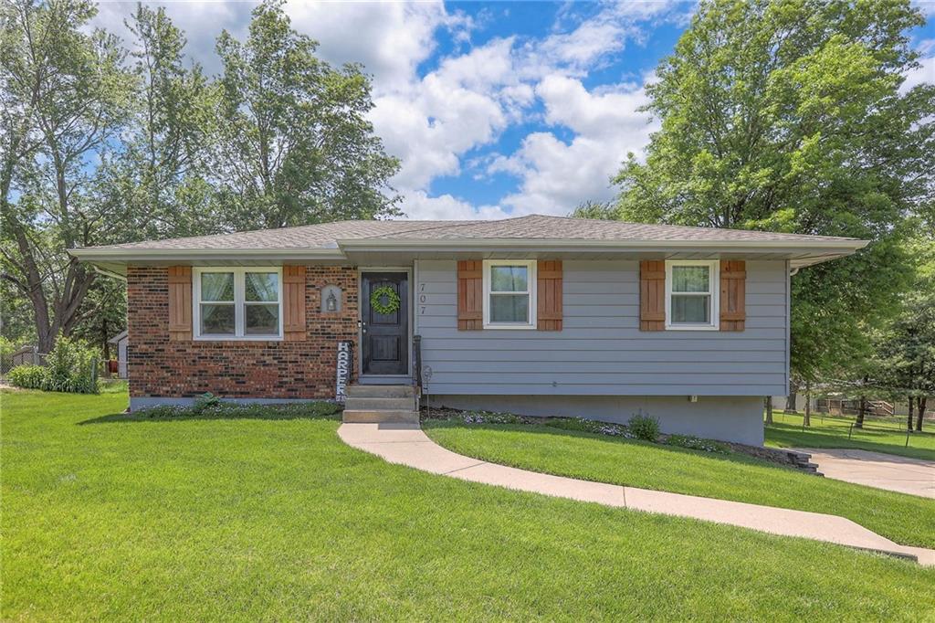 Listing Photo MLS #HMS2549859