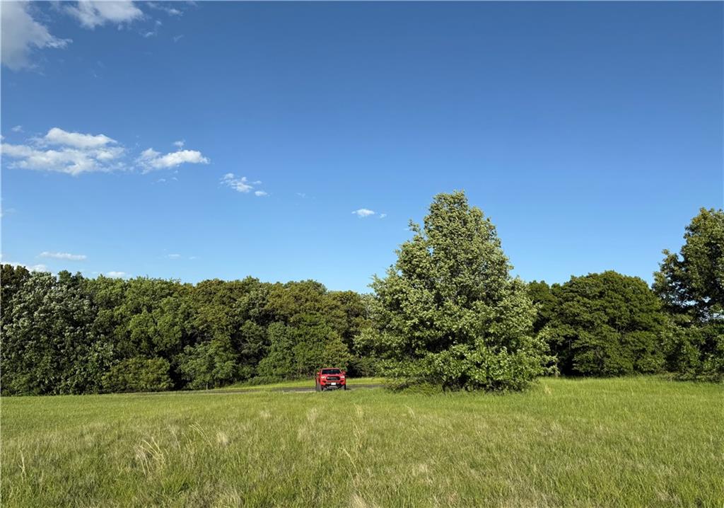 Listing Photo MLS #HMS2550069