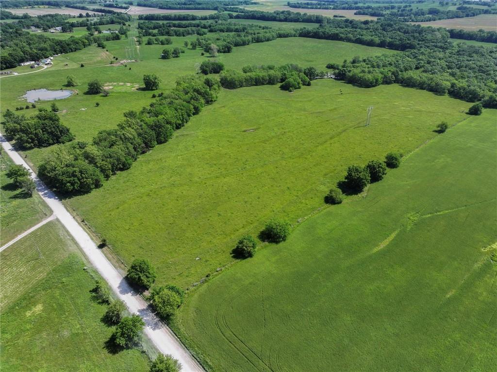 Listing Photo MLS #HMS2550074