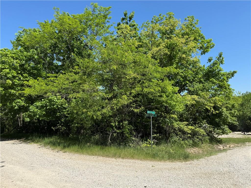 Listing Photo MLS #HMS2550101