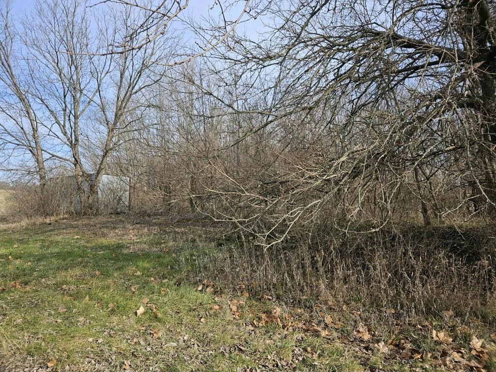 Listing Photo MLS #HMS2550170