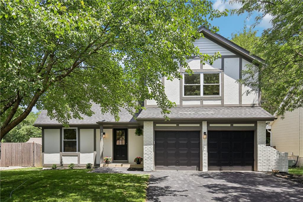 Listing Photo MLS #HMS2550208