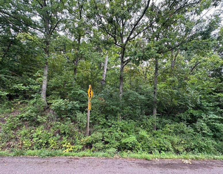 Listing Photo MLS #HMS2550505