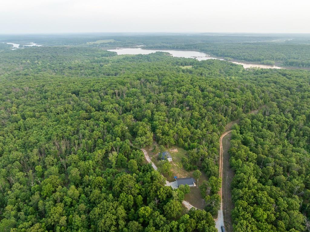 Listing Photo MLS #HMS2550626