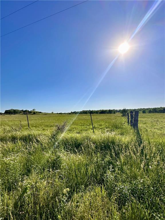 Listing Photo MLS #HMS2551340