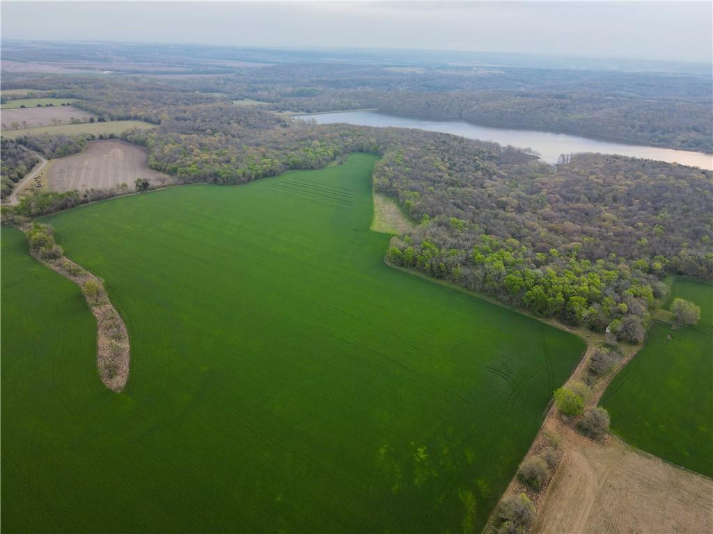 Listing Photo MLS #HMS2551368