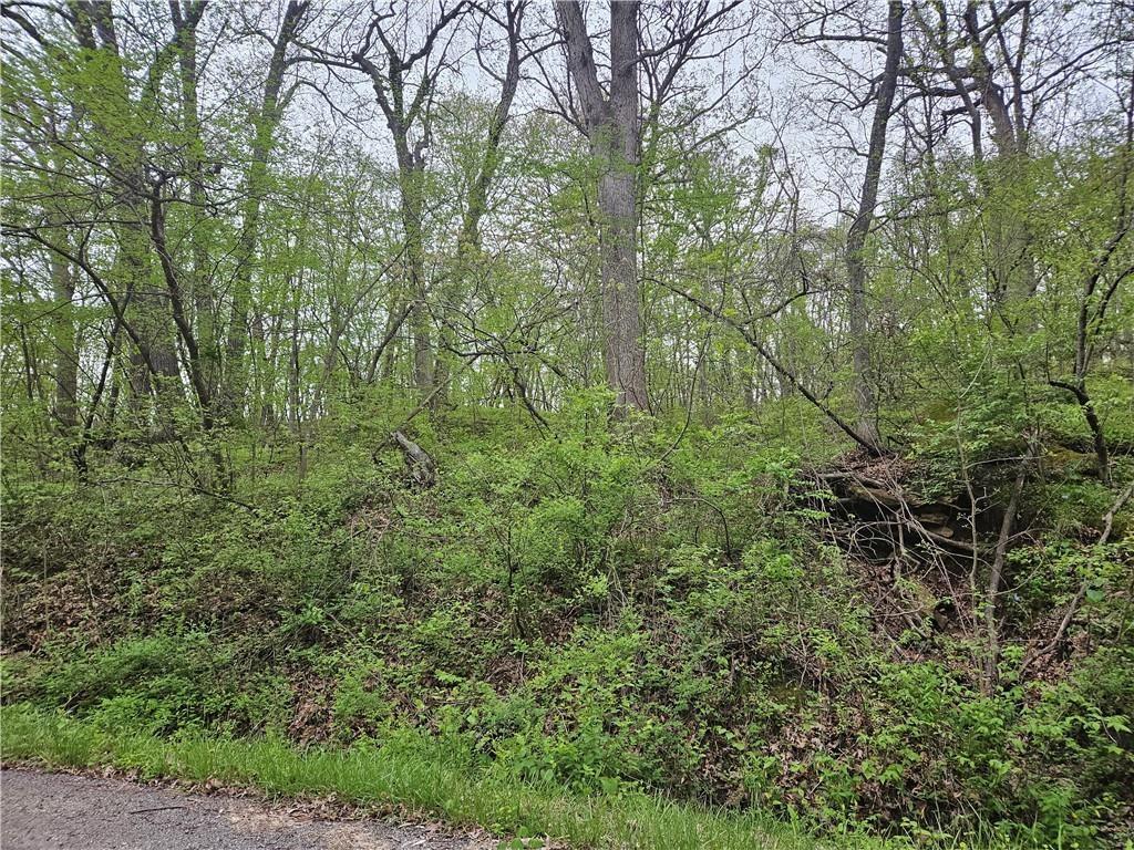 Listing Photo MLS #HMS2551662