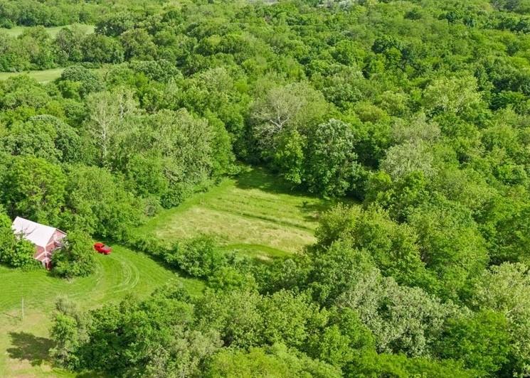 Listing Photo MLS #HMS2551793