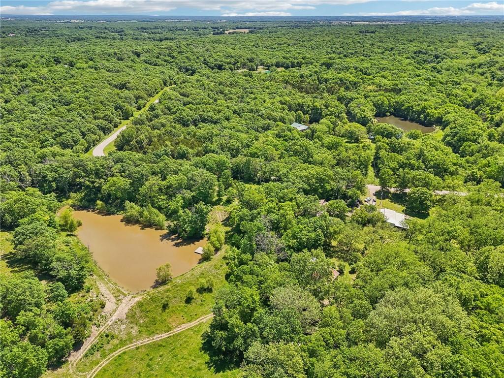 Listing Photo MLS #HMS2551874