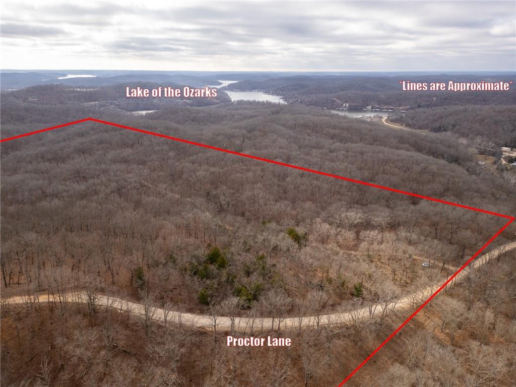 Listing Photo MLS #HMS2551903