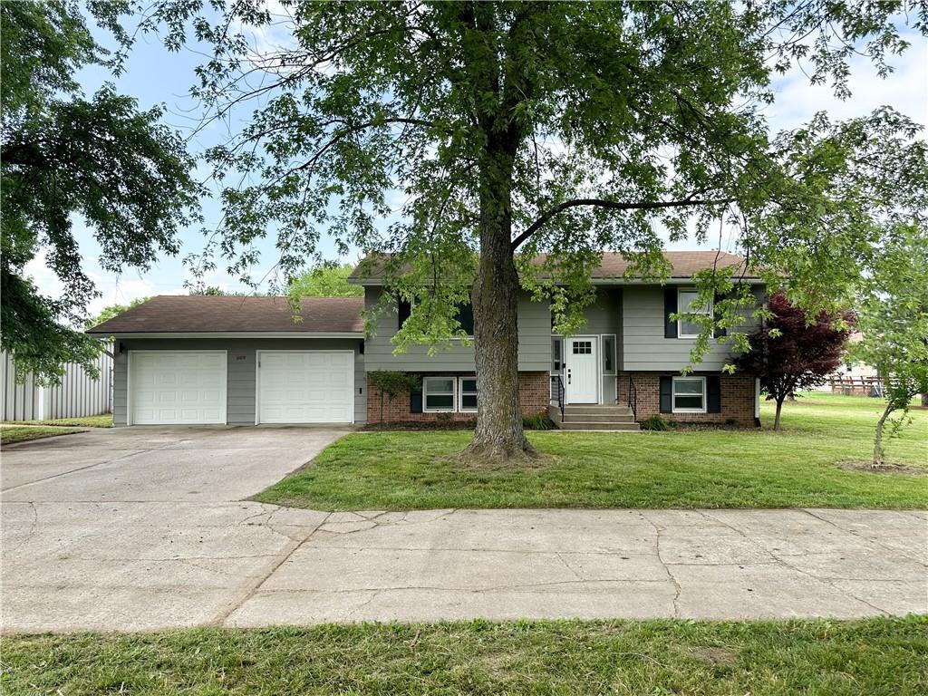 Listing Photo MLS #HMS2551985