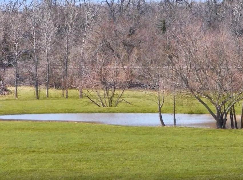 Listing Photo MLS #HMS2552045