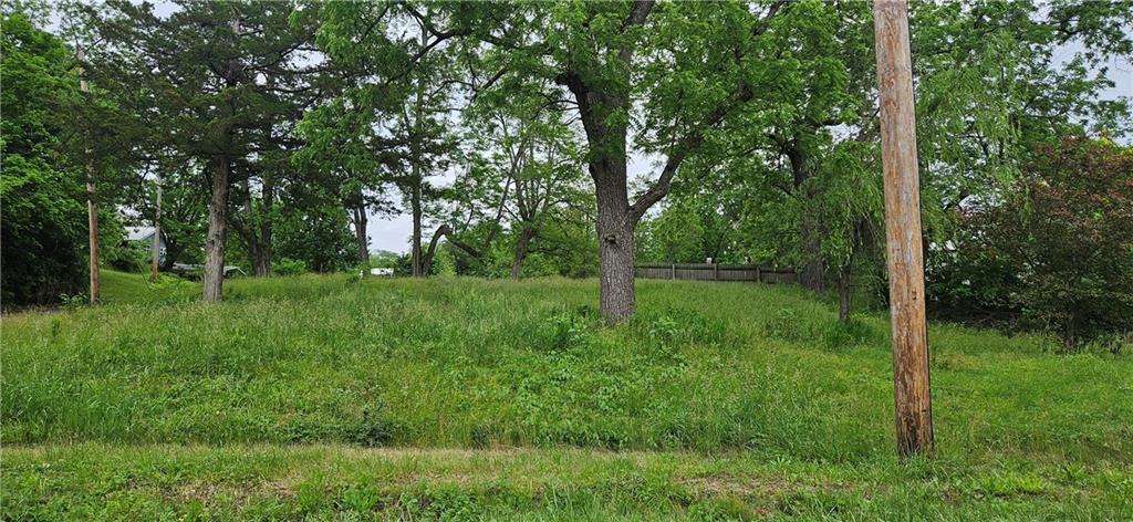 Listing Photo MLS #HMS2552282