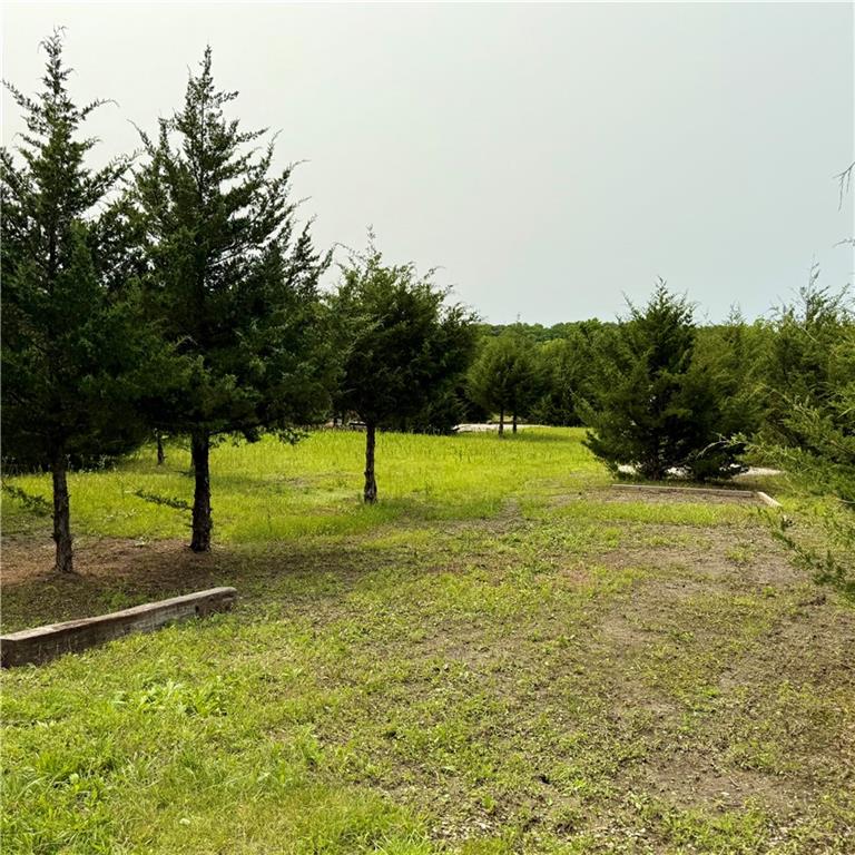 Listing Photo MLS #HMS2552538
