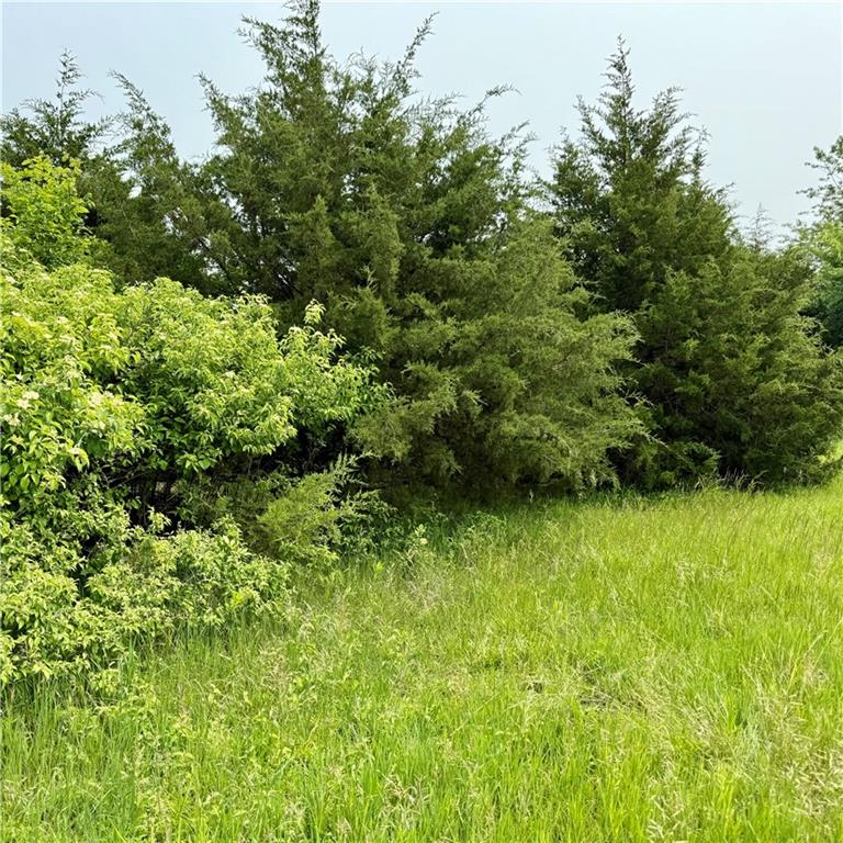 Listing Photo MLS #HMS2552540
