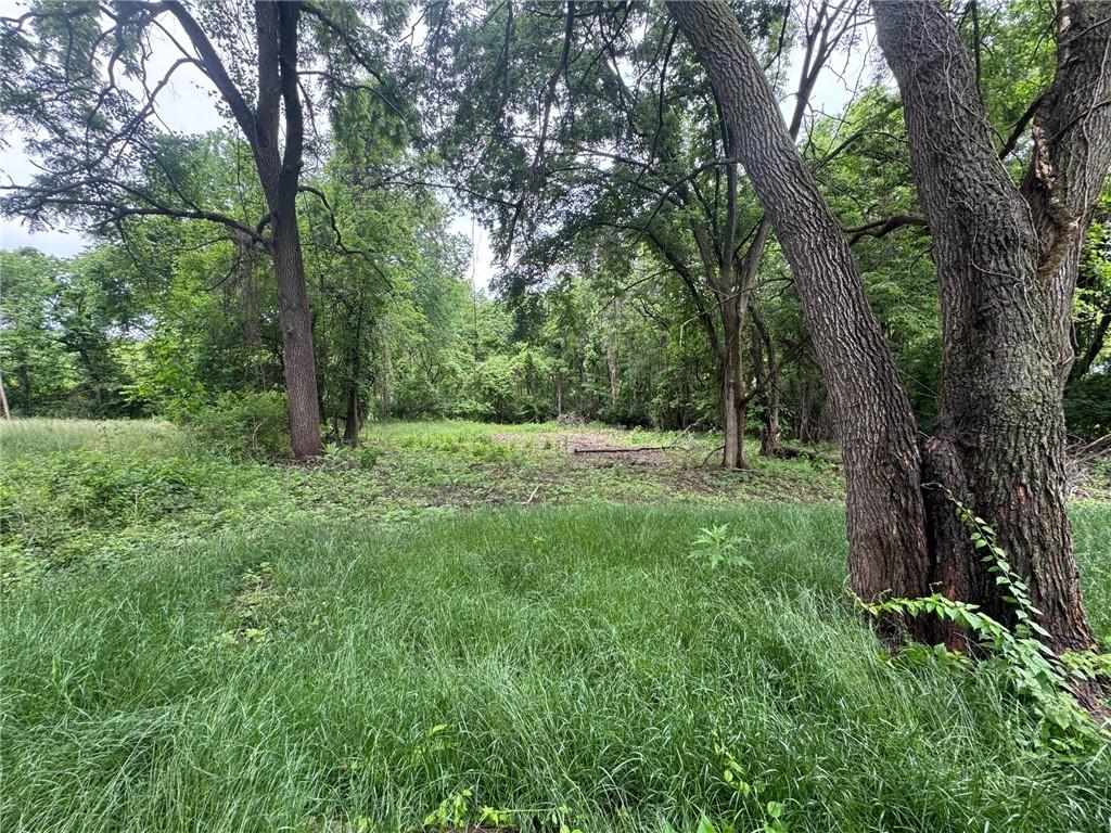 Listing Photo MLS #HMS2552700