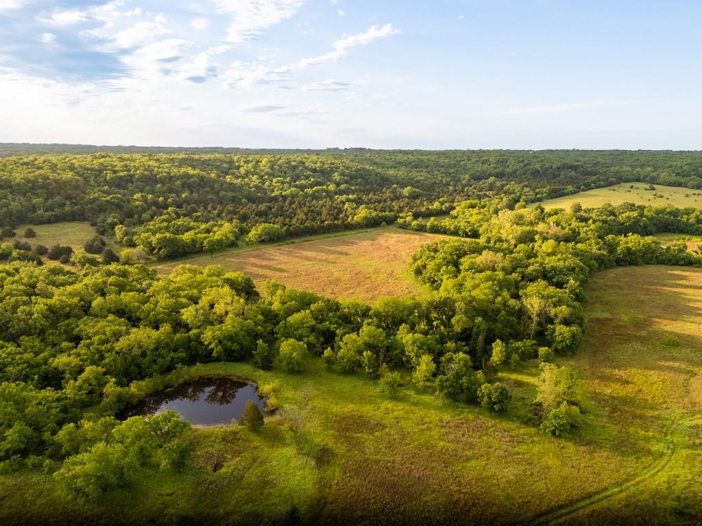 Listing Photo MLS #HMS2552884