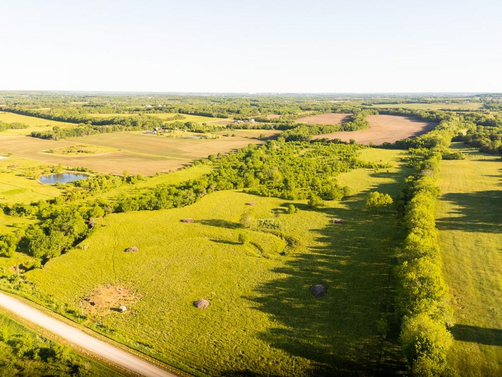 Listing Photo MLS #HMS2552891