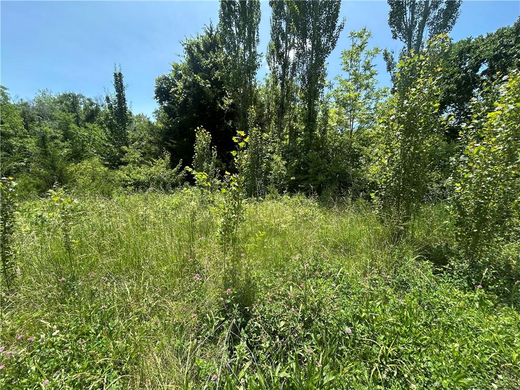 Listing Photo MLS #HMS2553046