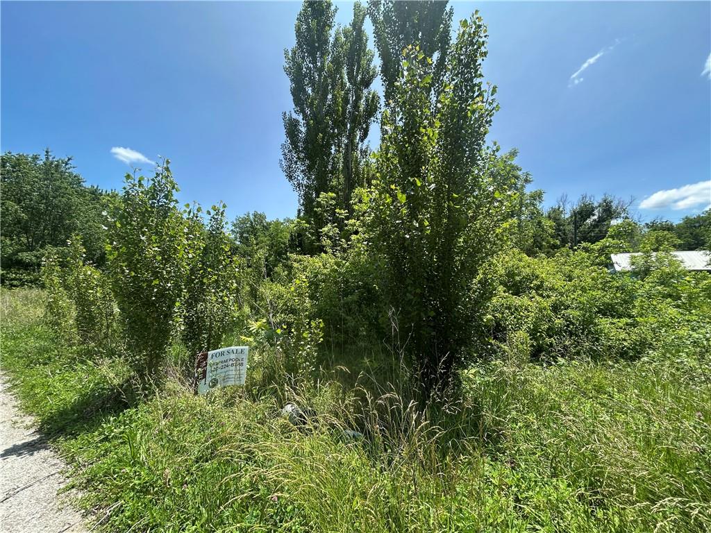 Listing Photo MLS #HMS2553048