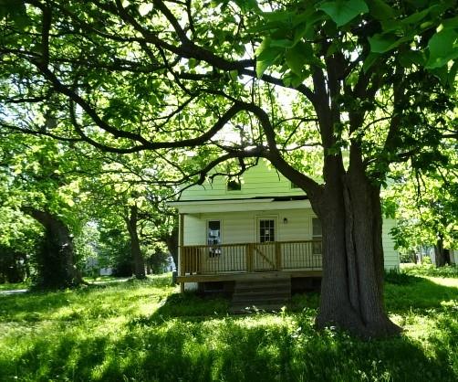 Listing Photo MLS #HMS2553127