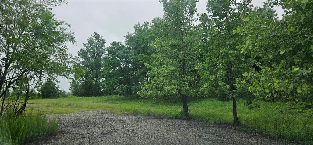 Listing Photo MLS #HMS2553132