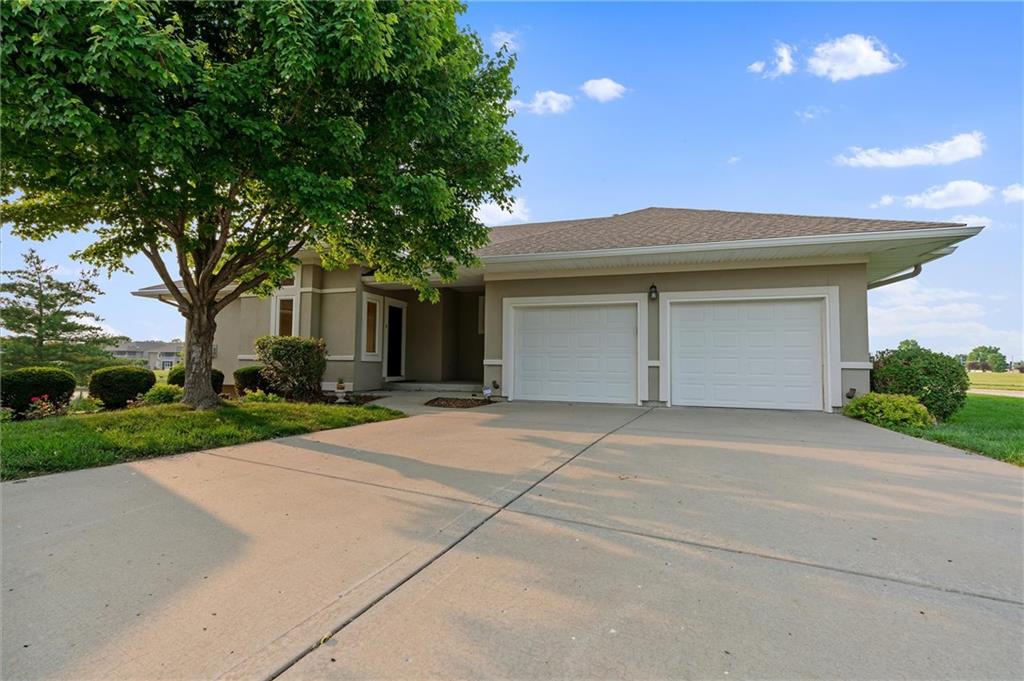 Listing Photo MLS #HMS2553260