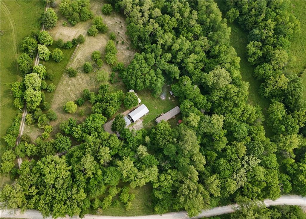 Listing Photo MLS #HMS2553439