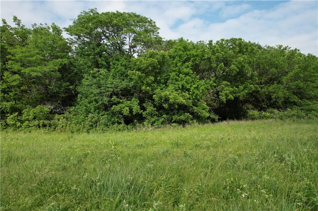 Listing Photo MLS #HMS2553520