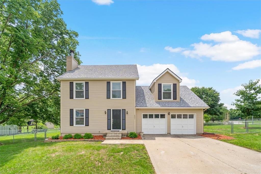 Listing Photo MLS #HMS2554949