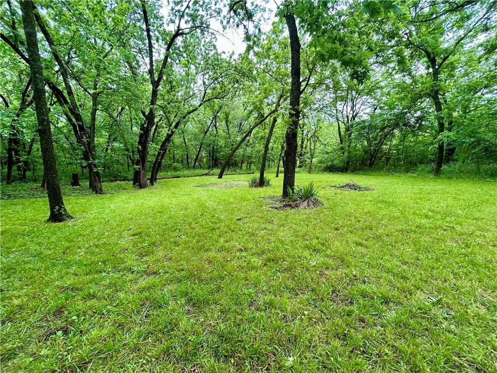 Listing Photo MLS #HMS2555456