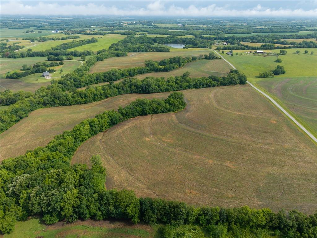 Listing Photo MLS #HMS2555784