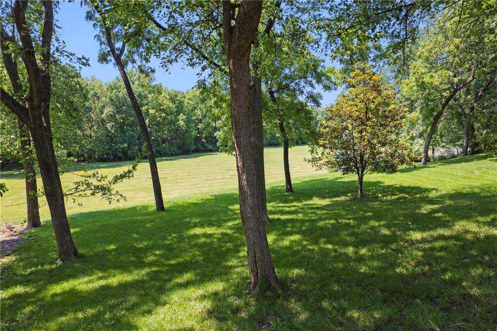 Listing Photo MLS #HMS2555826